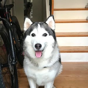 Meet your Posher, Brian keith